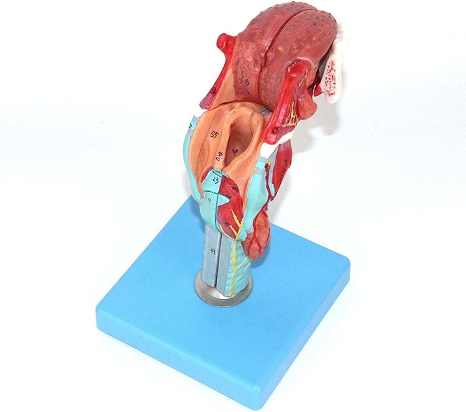 美術館展示品 芸術 版画 アンティーク ガブリエル・ゴダール バラ色に